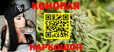 сатива Малоярославец