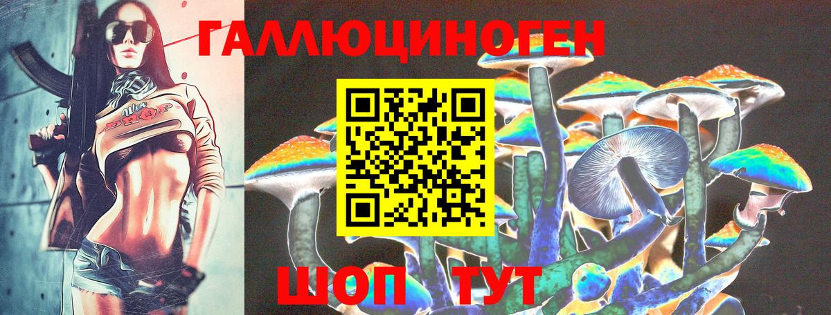 Псилоцибиновые грибы Psilocybine cubensis Вятские Поляны